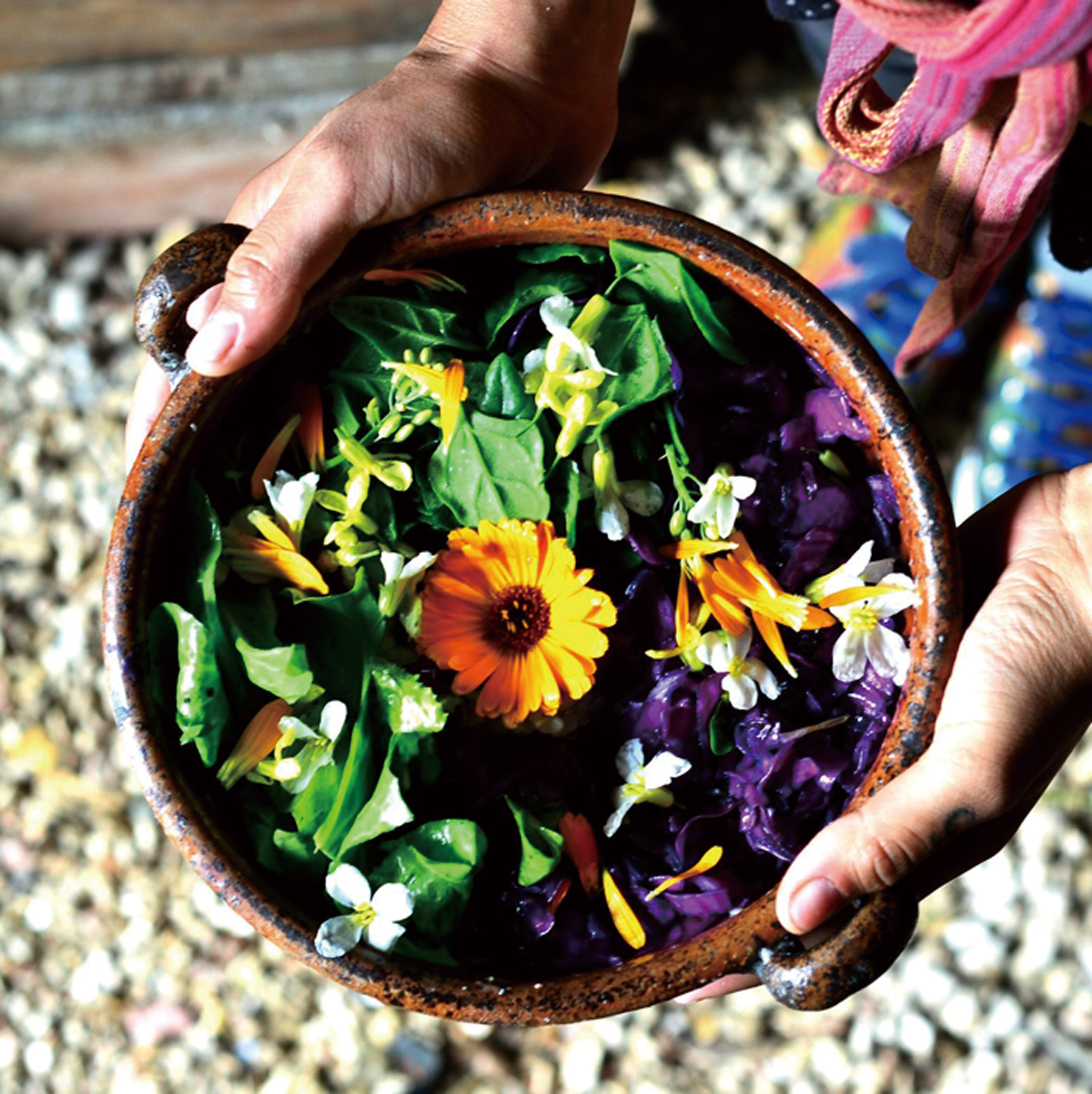 gz03_5492A57B-D8C3-49B3-81C6-734AE2AFE5EAee