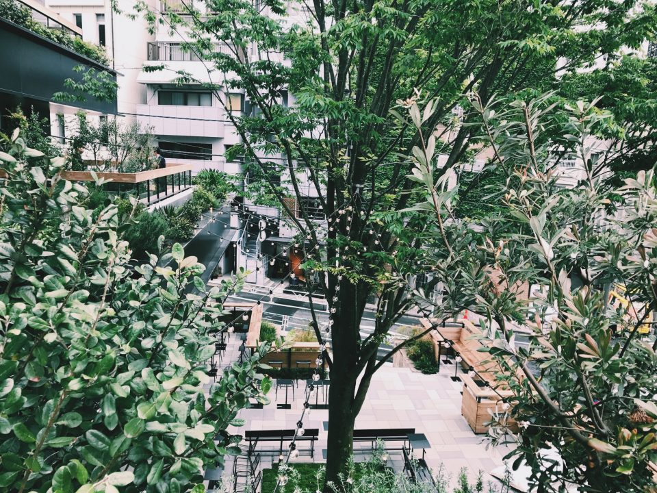 Processed with VSCO with c1 preset