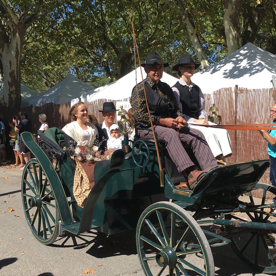 夏の思い出をプレイバック！南仏プロヴァンスのカゴ祭り エディター
