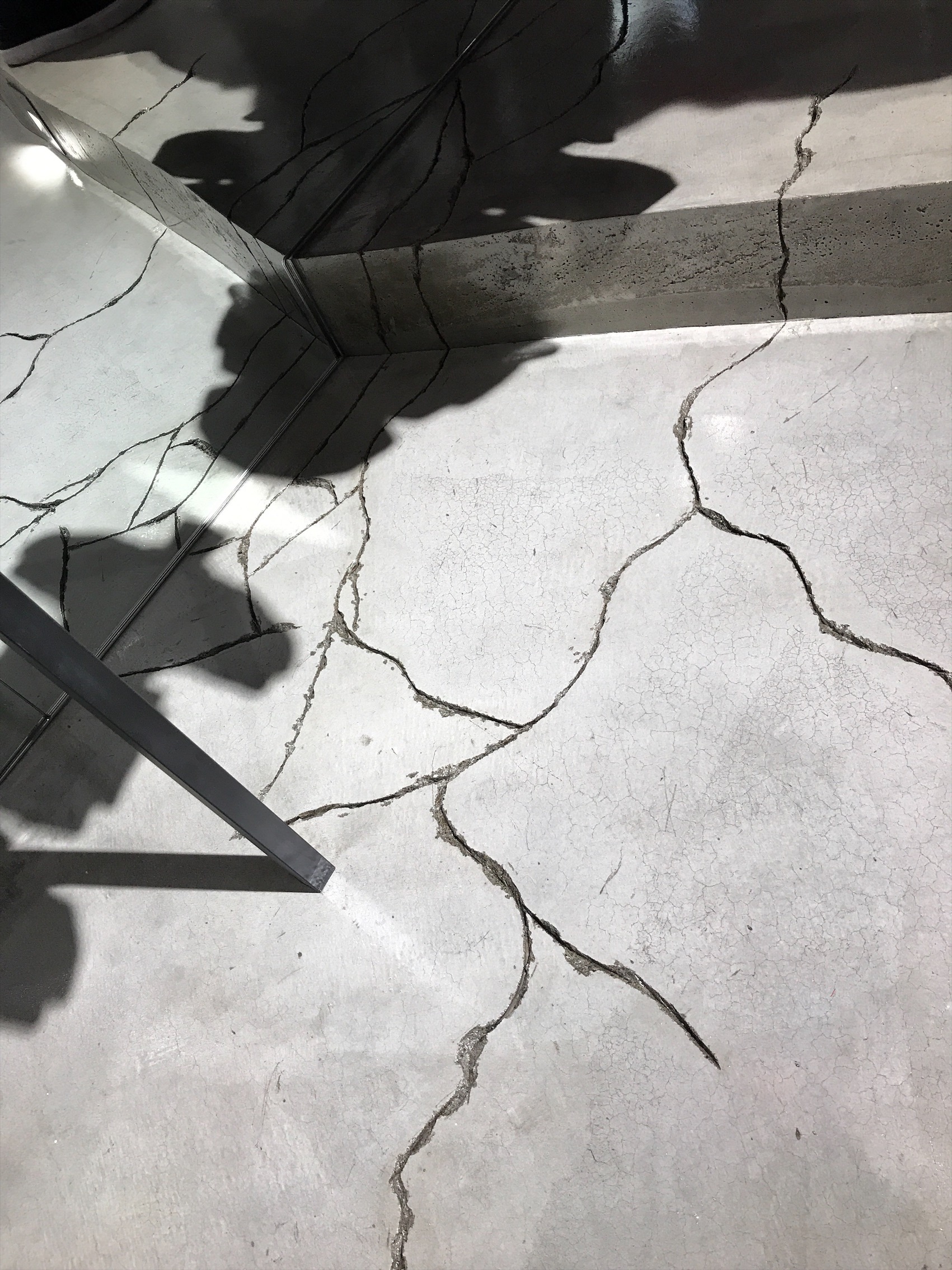 372E4E84-3949-452B-A7F4-8E918538F3DC