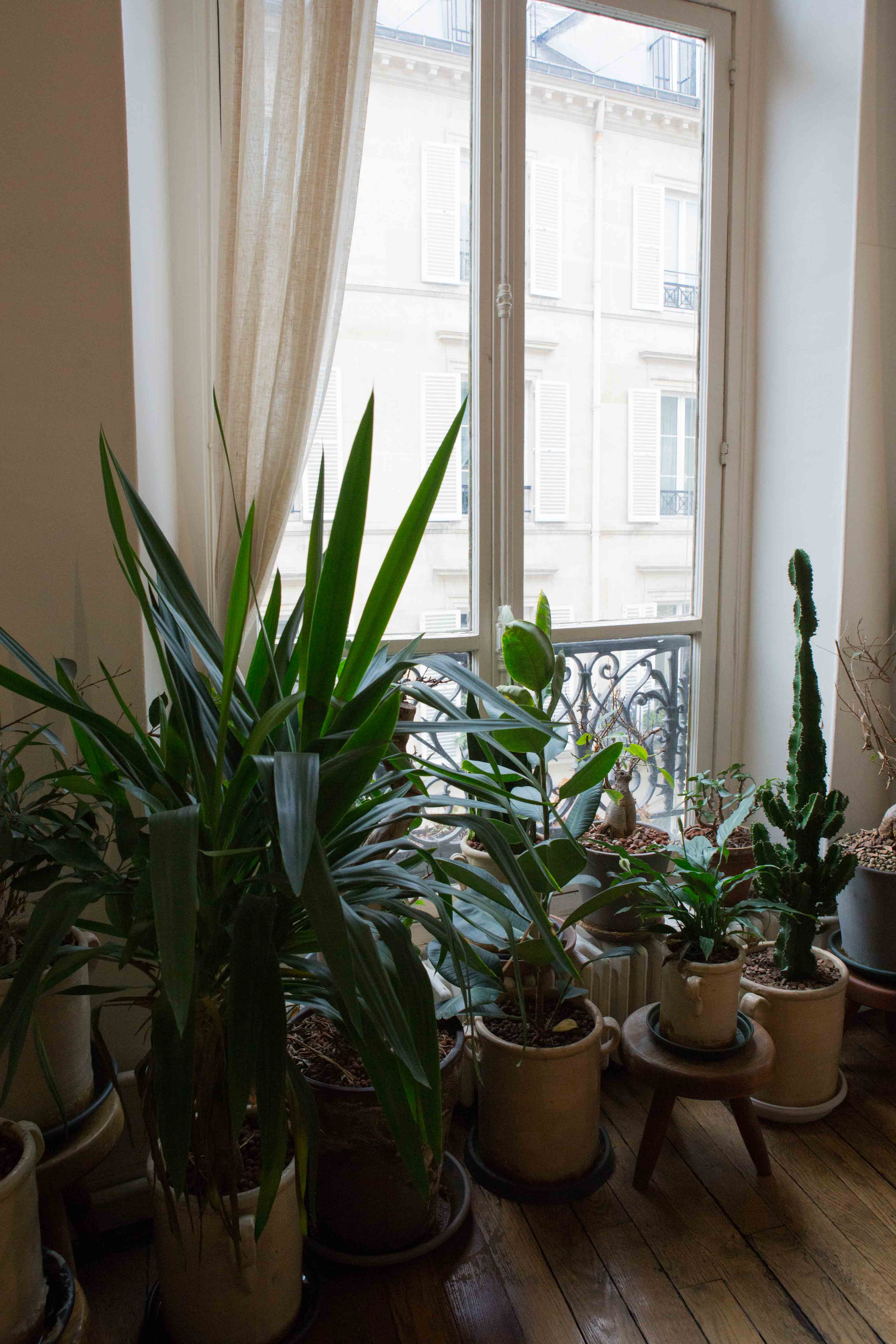 m's braque デザイナー 松下貴宏