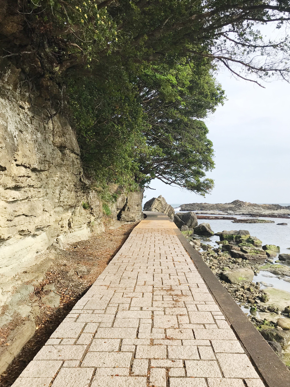 風待工房 下田 FROM EDITOR 伊豆 旅 編アシNA にこ