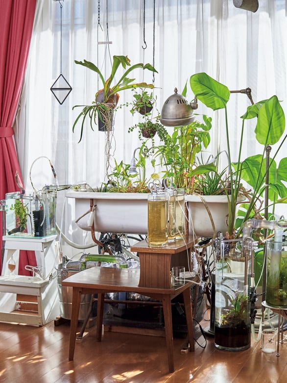 心潤すアクアリウムvol.2 植物が主役の水槽も。自然の力をお部屋に飾