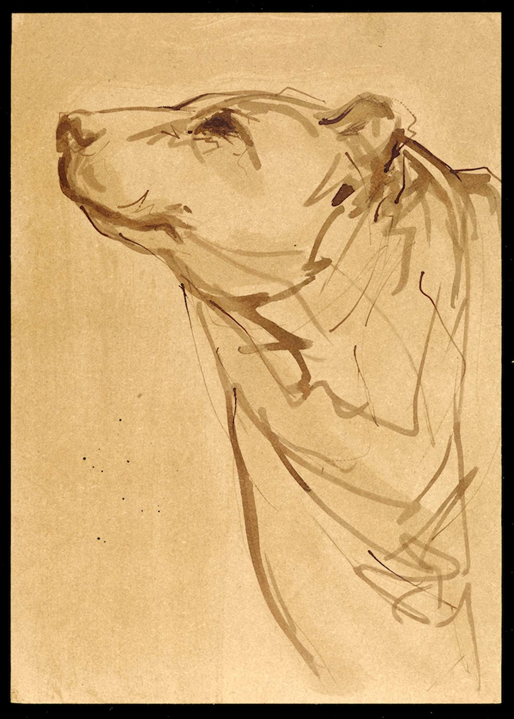 クマ ステファニー・クエール個展