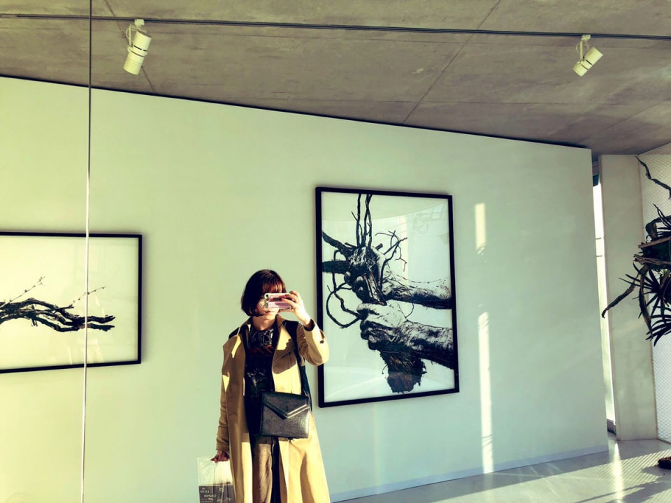 ひらりささんの京都ひとり旅