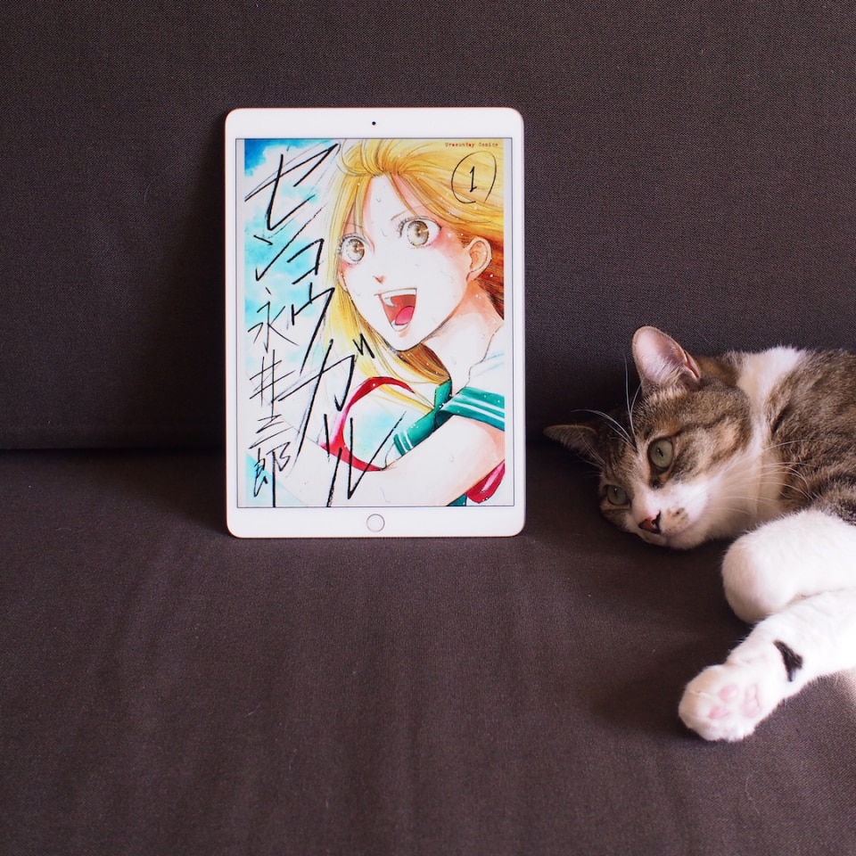 センコウガール