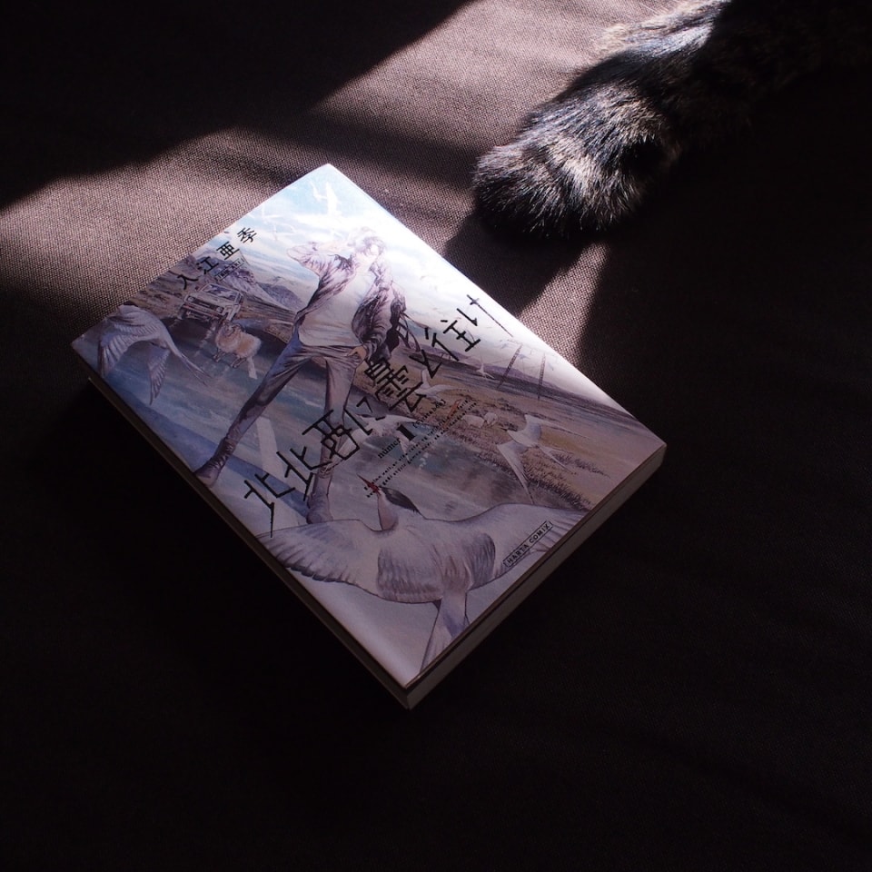 北北西に曇と往け