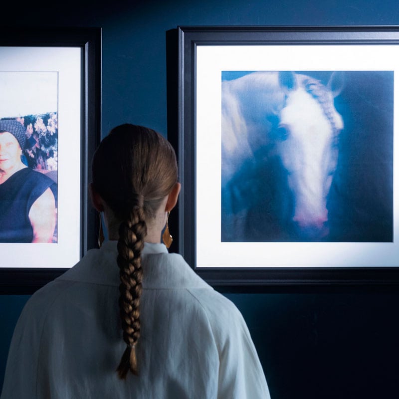 在本彌生氏による幻想的な写真
