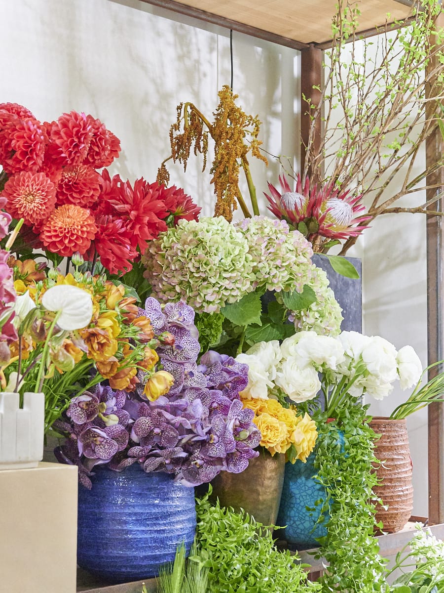 花のラボ？革新的な挑戦も続ける南青山「logi plants＆flowers