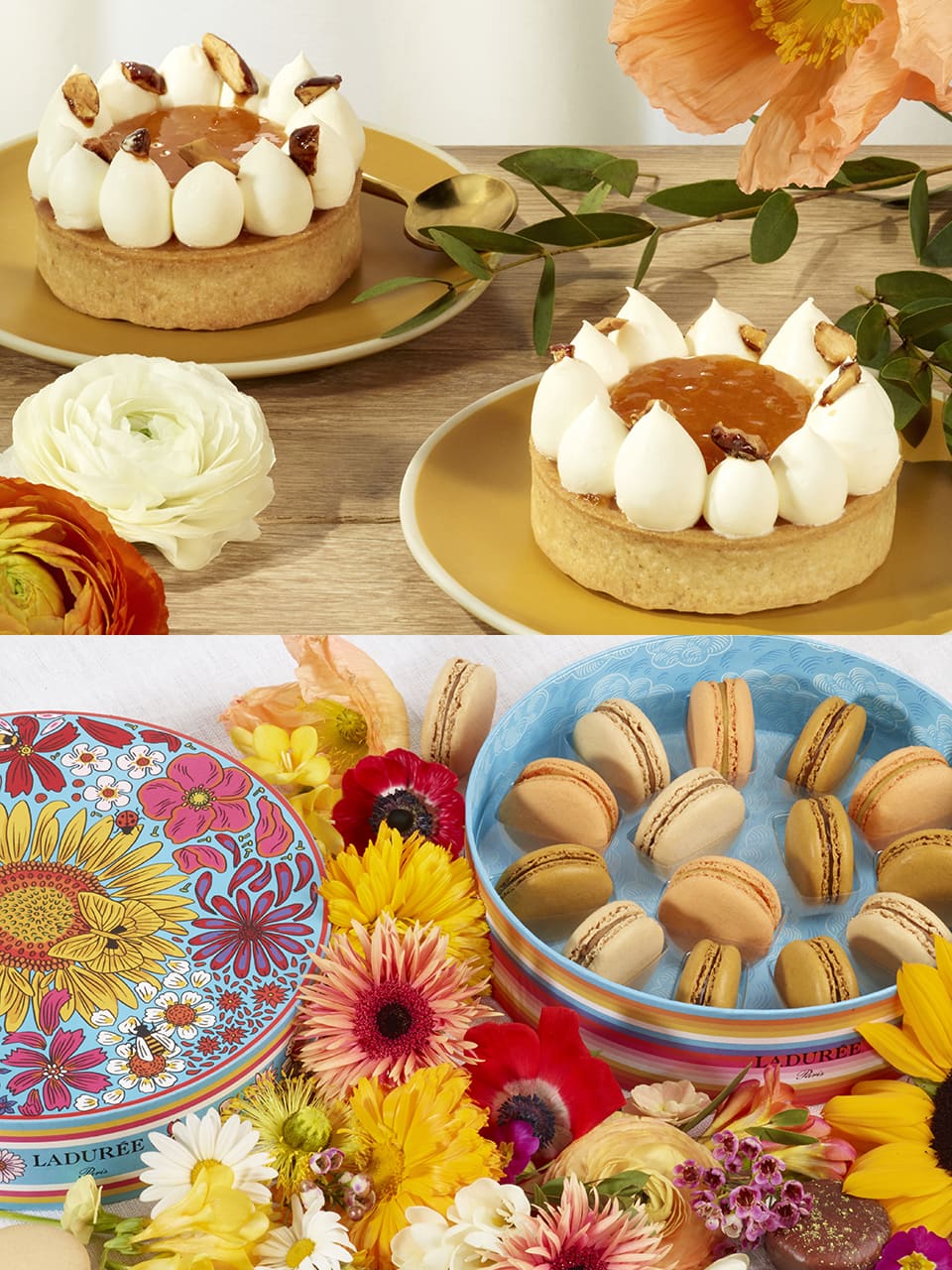 ラデュレ／Laduree | 【GINZA】東京発信の最新ファッション