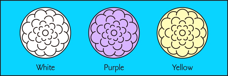 淡の間 3minites reading