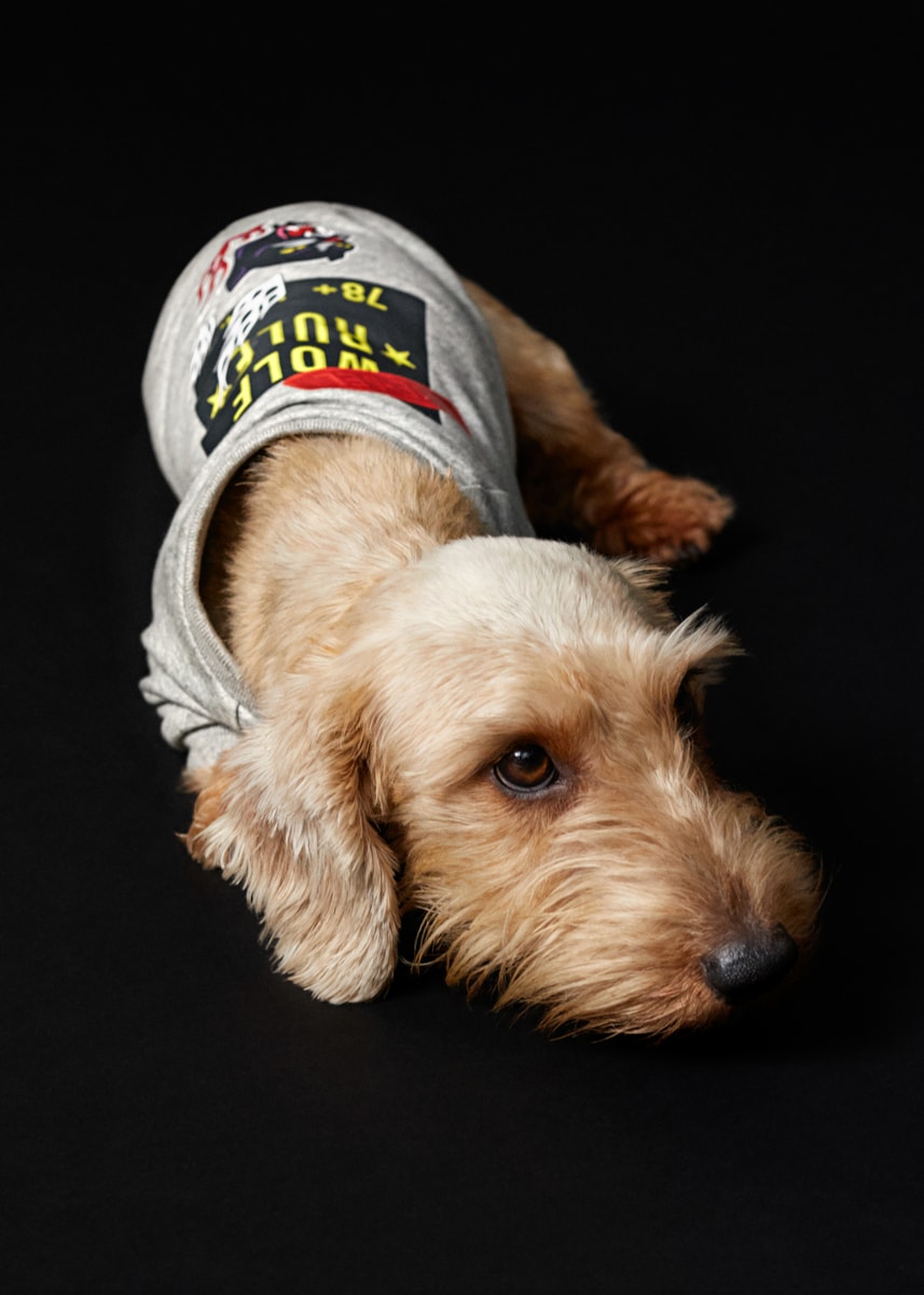 新品 犬用 DIESEL デニムジャケット 犬服・アクセサリー