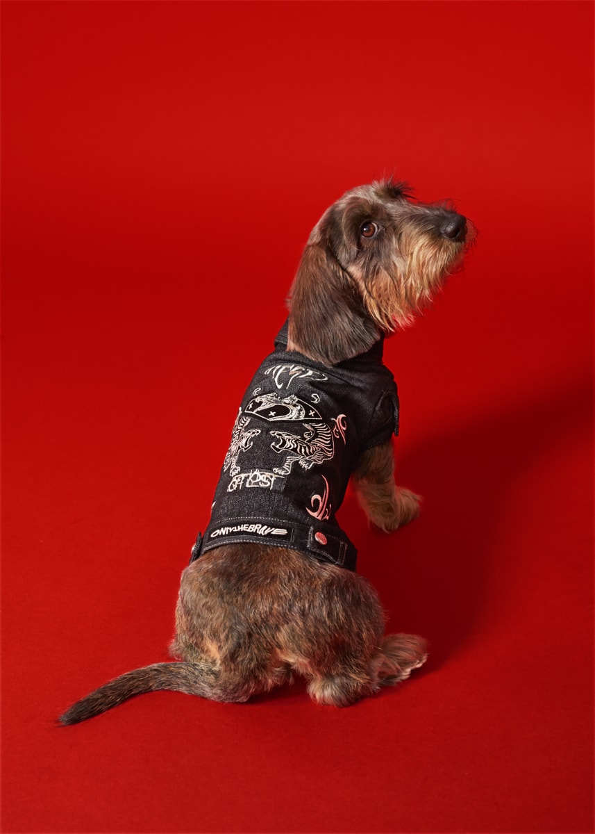 新品 犬用 DIESEL デニムジャケット 犬服・アクセサリー