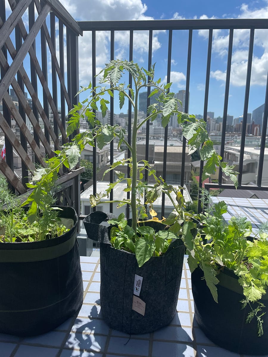 サステイナブルライフへの道!|コンポスト