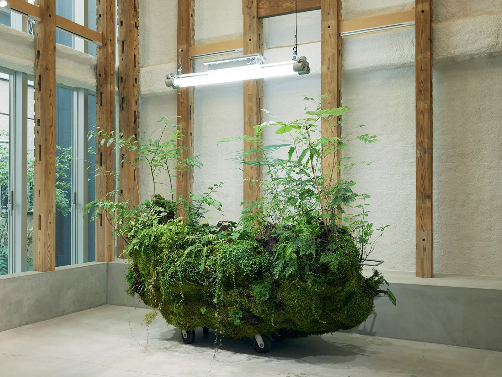 屋内ビオトープ