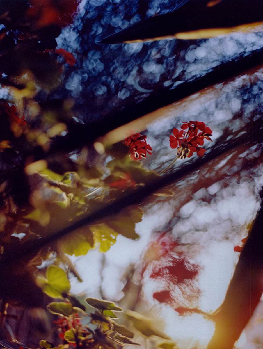 写真家・小浪次郎が切り取った、美しい日常。写真展『黄色い太陽