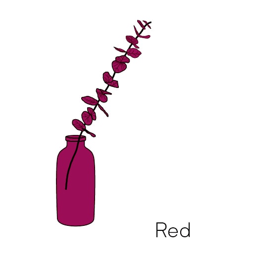 淡の間 占い 3minutes Reading