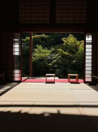 ライターYの京都通信|実相院門跡