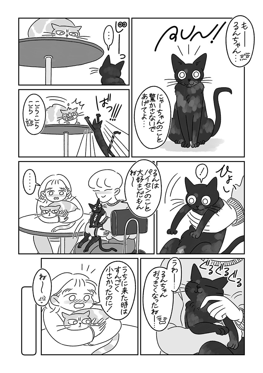 連載漫画『ふたりとにひき、はじめました』第１話 はじめまして、るん！　P02