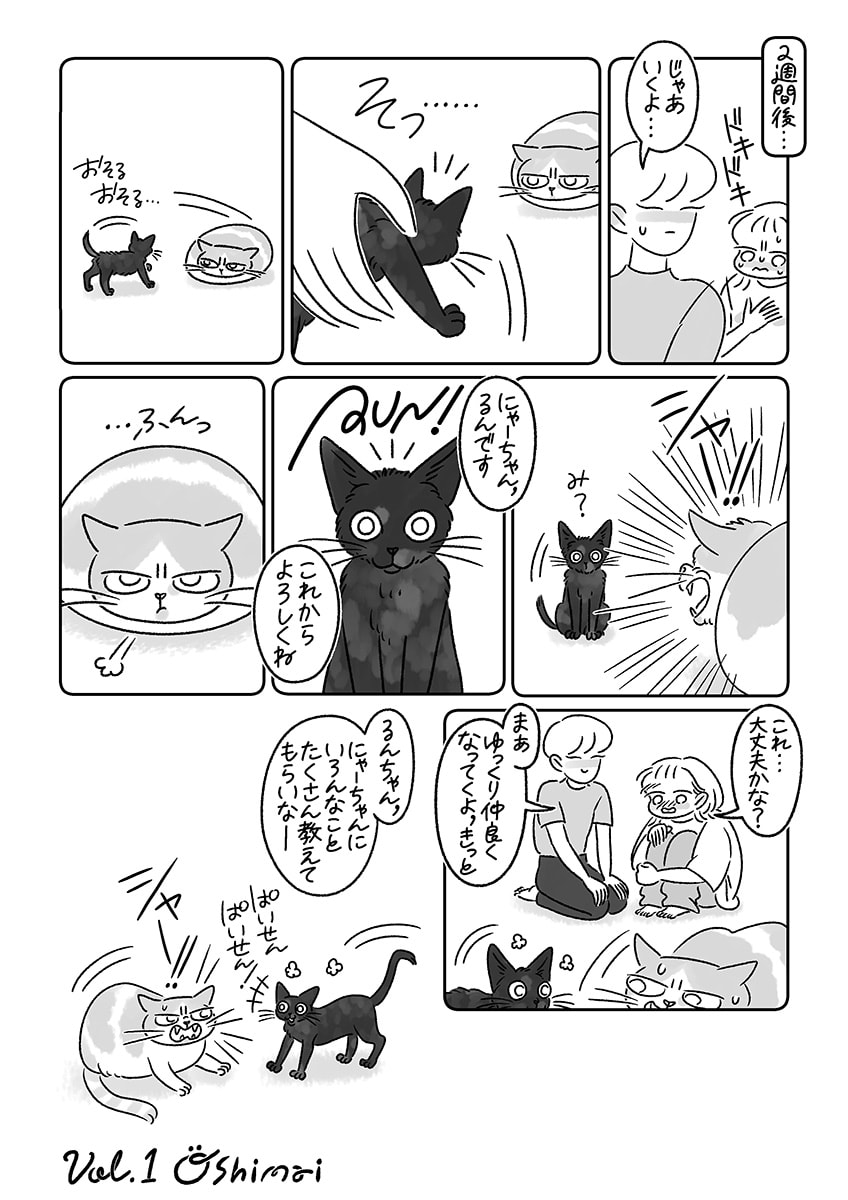 連載漫画『ふたりとにひき、はじめました』第１話 はじめまして、るん！　P08