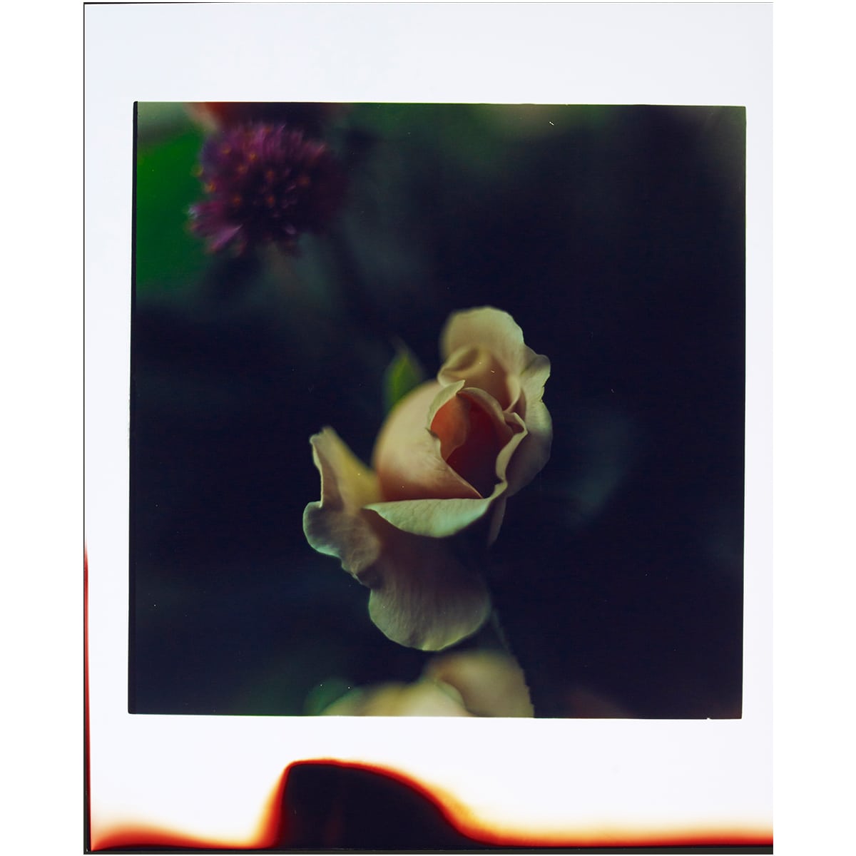 高橋恭司　写真集「Ghost」 GHOST / 高橋恭司(Kyoji Takahashi) | bookobscura｜写真集