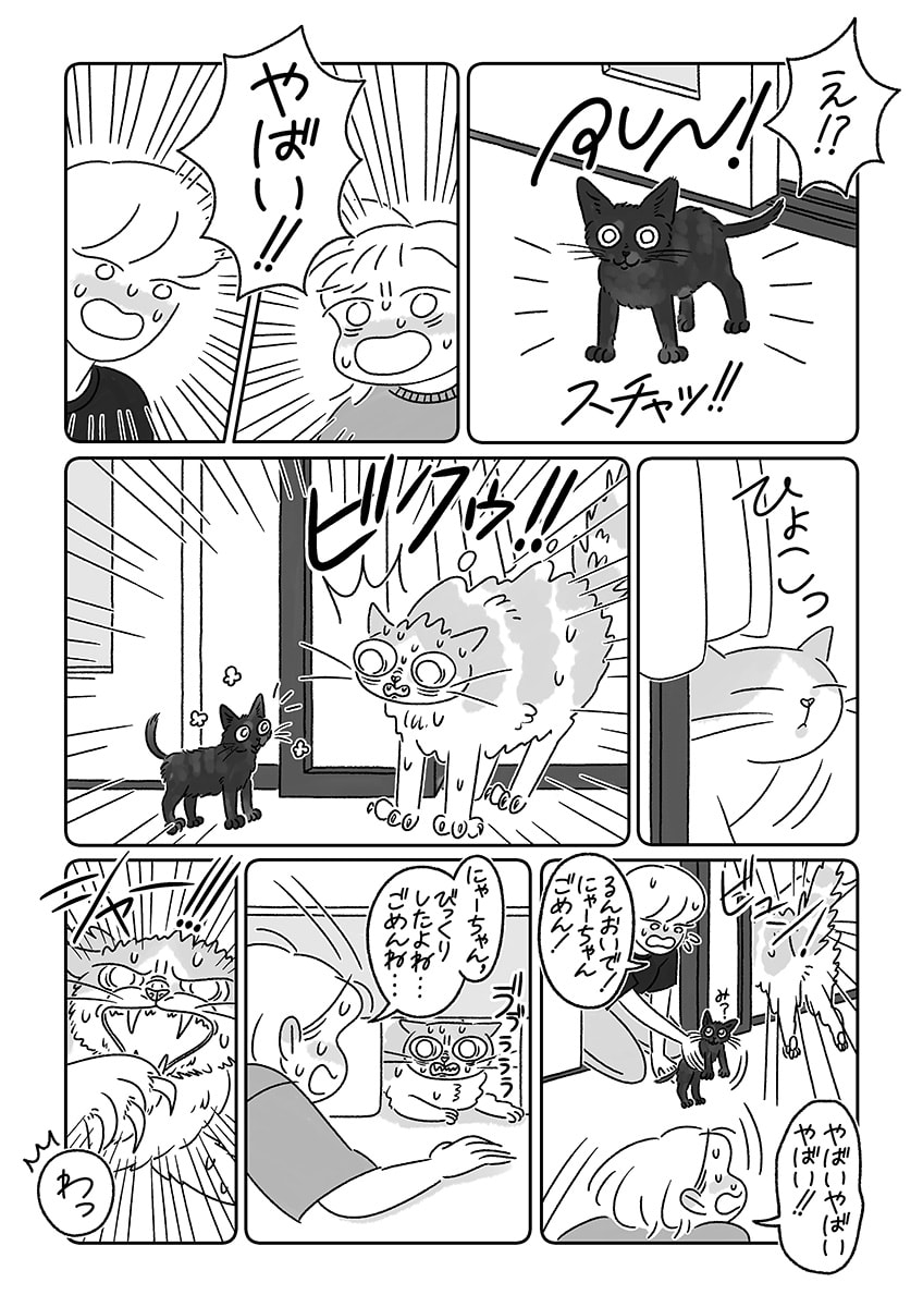 連載漫画『ふたりとにひき、はじめました』第１話 はじめまして、るん！　P06