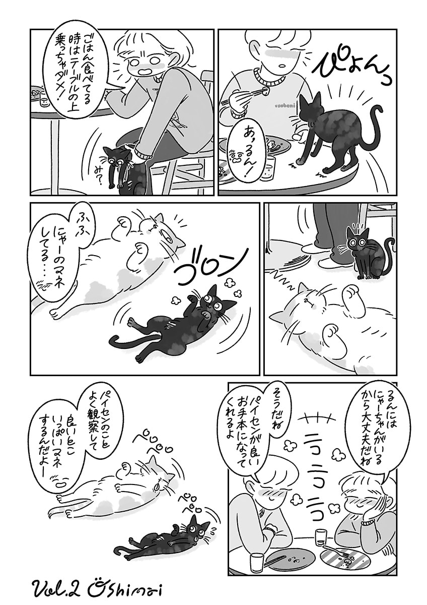 連載漫画『ふたりとにひき、はじめました』第2話 空飛ぶ贅沢パン P8