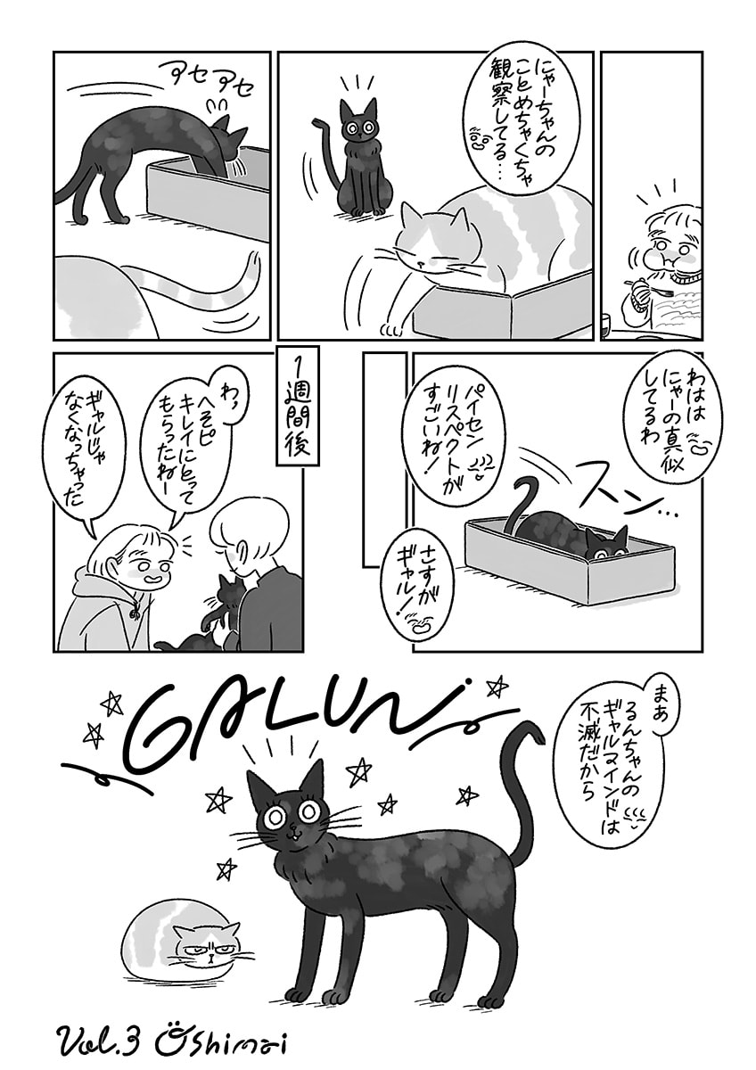 連載漫画『ふたりとにひき、はじめました』第3話 横浜生まれの令和ギャル P8