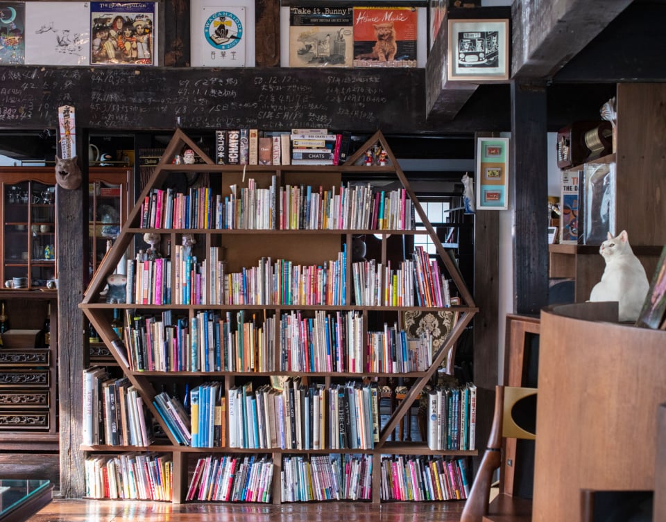 店主は年間約200匹を撮影する“キャットグラファー”。新潟「猫町珈琲店