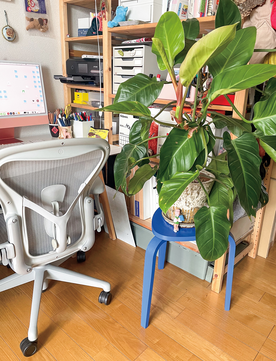 イラストレーター中島ミドリのボタニカルな日々を拝見 vol.4 | 【GINZA