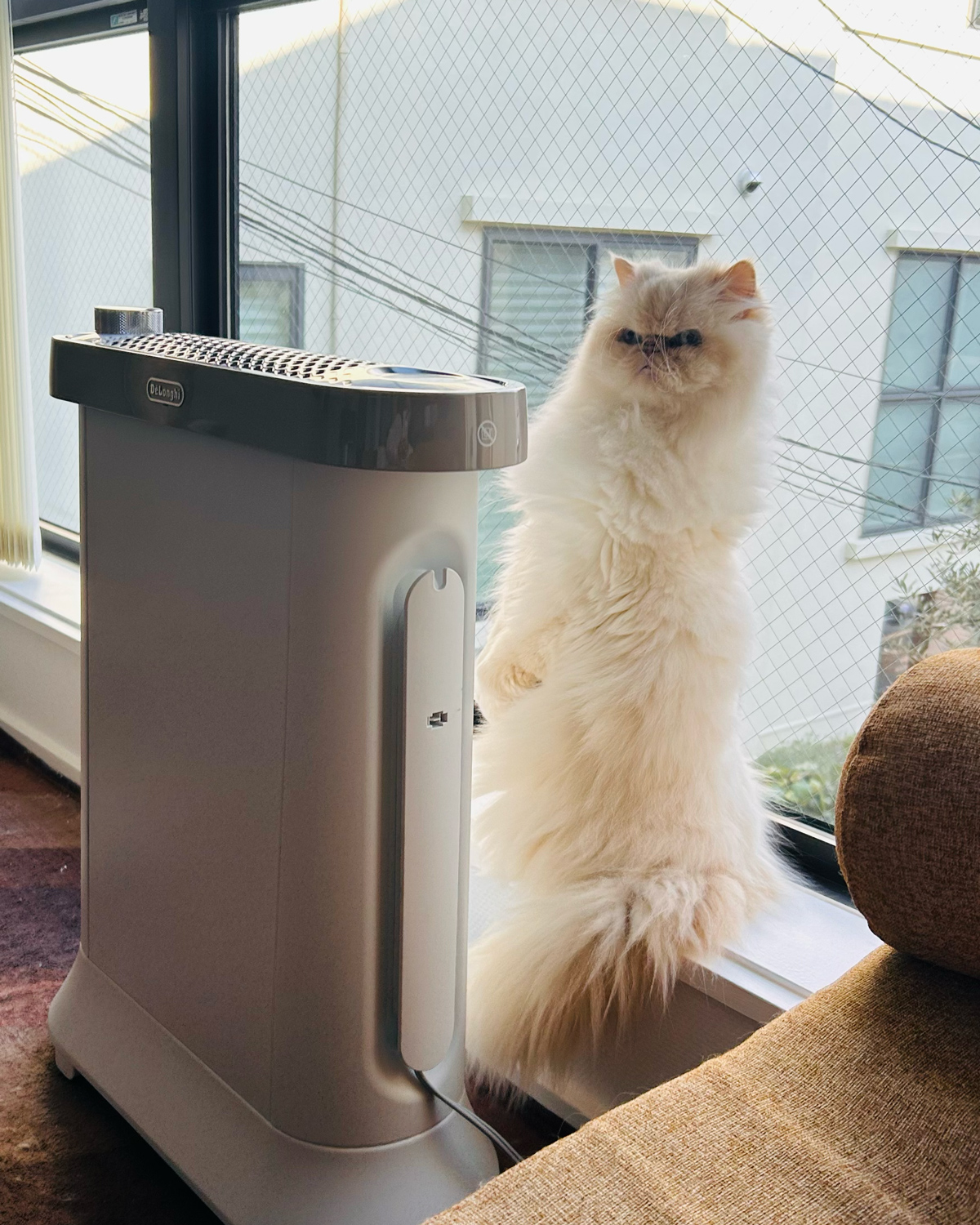 注目クリエイター35人のベストバイ！ GINZA 1月号「毎日がときめく