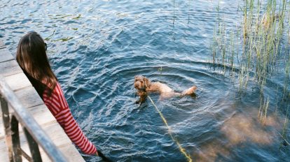 初夏の北欧、写真日記