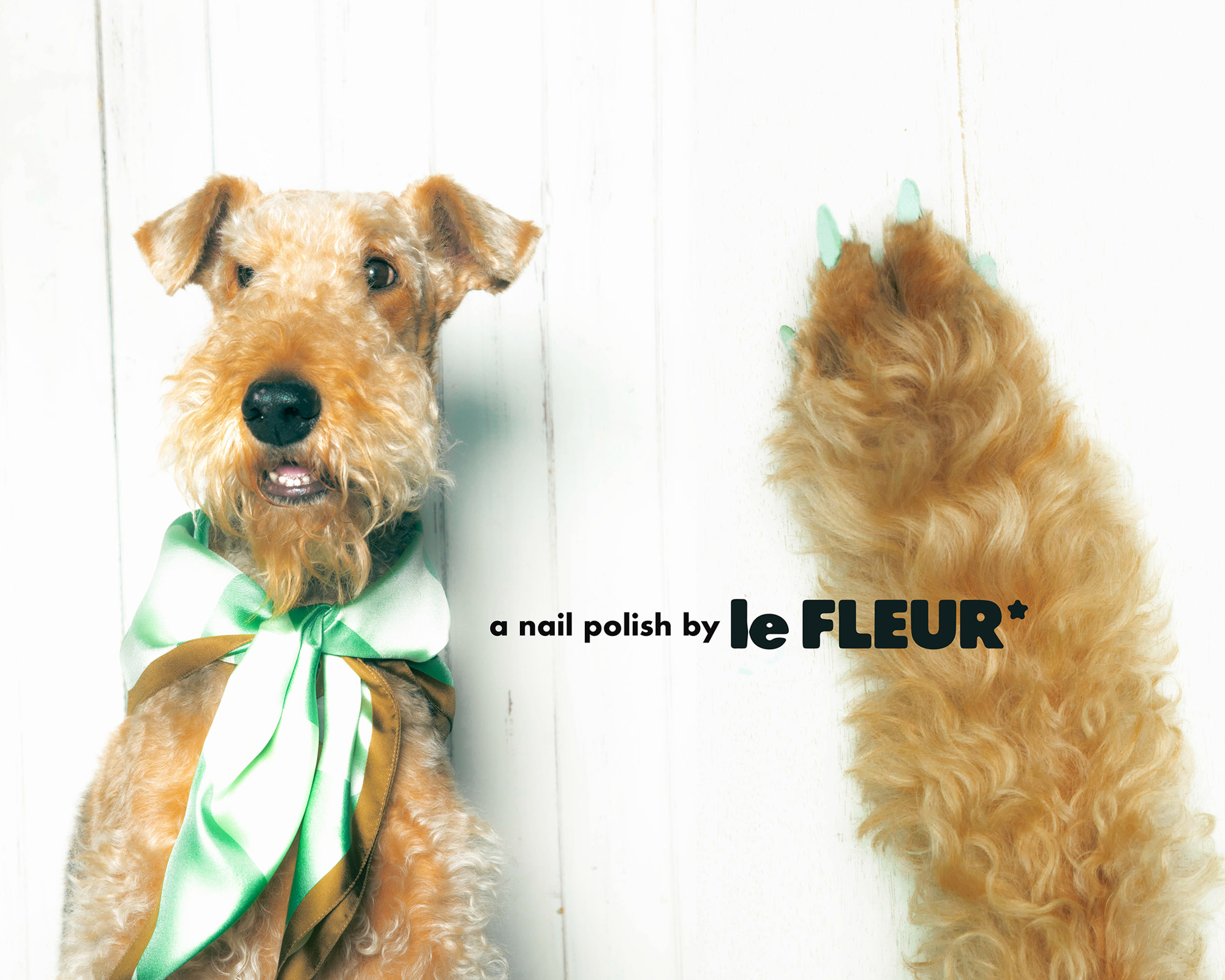 タイラー・ザ・クリエイターの〈GOLF le FLEUR*〉が日本にやってくる