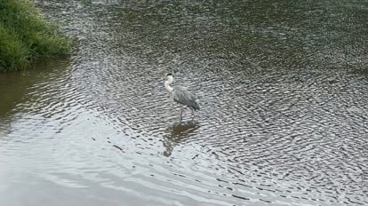 関西弁に憧れて