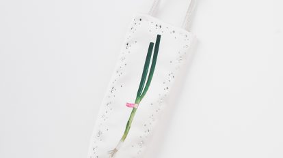 ね、ねぎ!?〈サンディ・リアン〉のバッグ