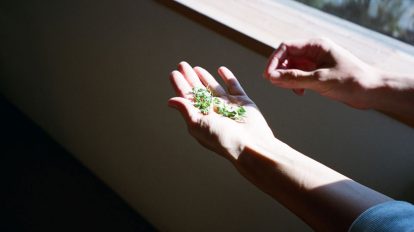 3月の淡路島、写真日記