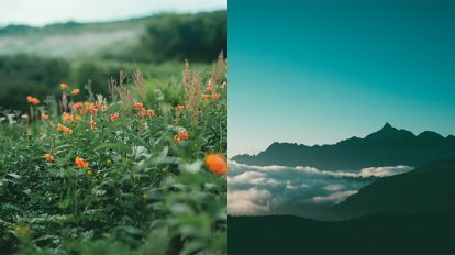 フォトグラファーの偏愛マウンテン｜井上実花の「花」愛